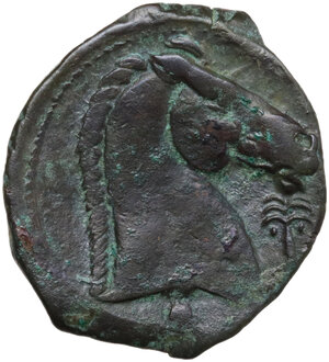 reverse: AE 21.5 mm. c. 300-264 BC