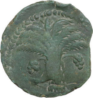 obverse: AE Half Shekel, Uncertain Punic mint. Circa 300 BC