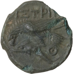 reverse: Moesia, Istros. AE 16mm, 4th-3rd century BC