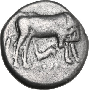 obverse: Illyria, Dyrrhachion. AR Stater, c. 340-280 BC