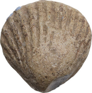 obverse: Premonetale PB, c. 4th - 2nd century BC.  Lead scallop shell, obtained by casting. Natural rendering of details