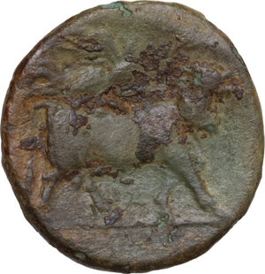 reverse: Samnium, Southern Latium and Northern Campania, Aesernia.. AE 19 mm. 263-240 BC
