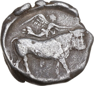 reverse: Central and Southern Campania, Neapolis. AR Didrachm, c. 350-325 BC
