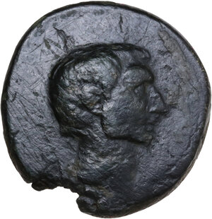 obverse: Augustus (27 BC - 14 AD)  . AE 21.5 mm. Asia Minor, uncertain mint, c. 30 BC(?)