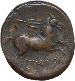 reverse: Northern Apulia, Salapia. AE 23.5 mm, c. 225-210 BC