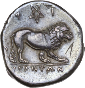 reverse: Northern Lucania, Velia. AR Didrachm, c. 300-280 BC