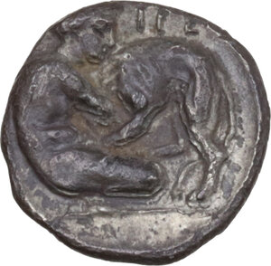 reverse: Southern Lucania, Heraclea. AR Diobol, 432-420 BC