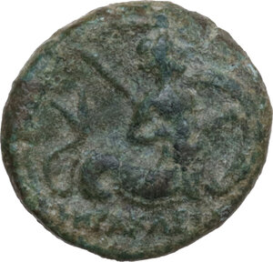 reverse: Southern Lucania, Heraclea. AE 14 mm, c. 3rd century BC