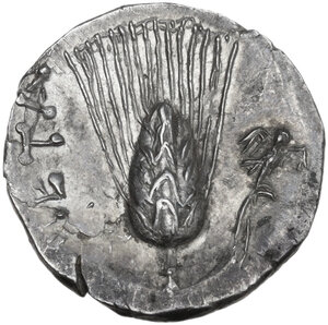 reverse: Southern Lucania, Metapontum. AR Half Shekel – Drachm. Time of Hannibal, c. 212-206 BC