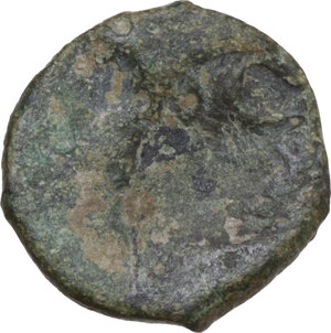 reverse: Capua.  Ruggero II (1105-1154). Follaro incuso , 1135-1137