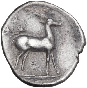 reverse: Bruttium, Kaulonia. AR Stater, c. 475-425  BC