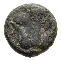 Reverse image