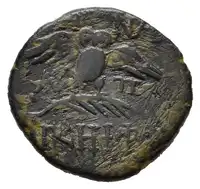 Reverse image