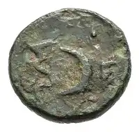 Reverse image