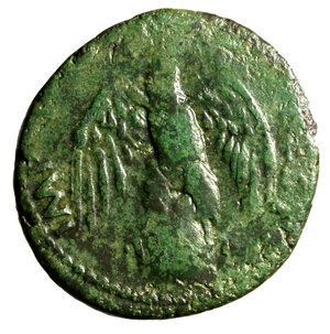 reverse: TIBERIO (14-37) Asse. D/ Testa rad. di Augusto a sn. R/ Aquila ad ali aperte stante su globo. AE (g. 10,5 mm. 27) C. 247.; RIC 82.     RARO    patina verde BB