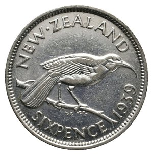 obverse: NEW ZEALAND - George VI  - Six Pence argento 1939