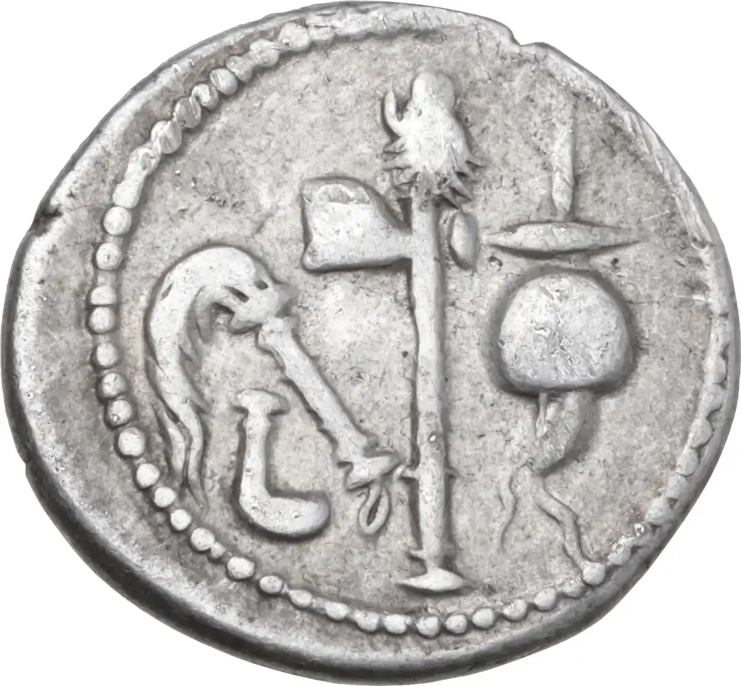Rovescio moneta