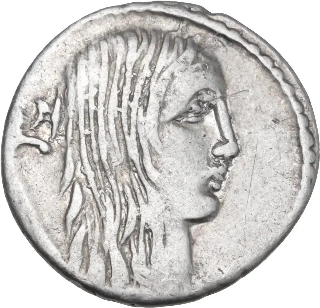 Dritto moneta