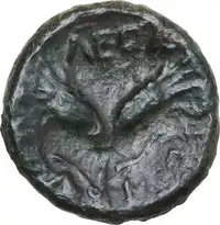 Reverse image
