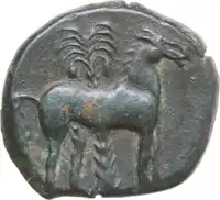 Reverse image