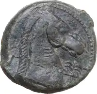 Reverse image