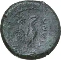 Reverse image
