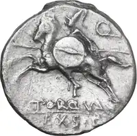 Reverse image