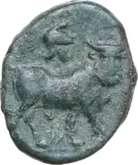 Reverse image
