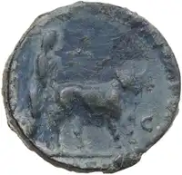 Reverse image