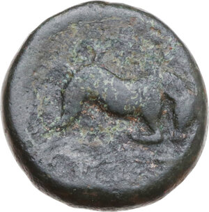 reverse: Southern Apulia, Grumum. AE 16 mm, c. 300 BC