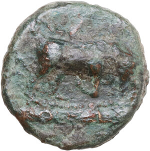 obverse: Northern Lucania, Posidonia. AE 16 mm. c. 350-290 BC