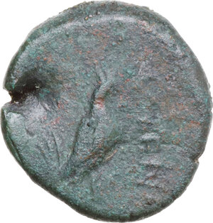 reverse: Samnium, Southern Latium and Northern Campania, Cales. AE 19 mm. c. 265-240 BC. Imitative issue