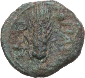 reverse: Northern Lucania, Paestum. AE Uncia, 218-201 BC