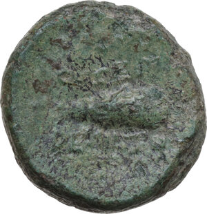 reverse: Northern Lucania, Paestum. AE Semis, c. 90-44 BC