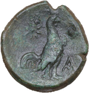 reverse: Samnium, Southern Latium and Northern Campania, Cales. AE 19.5 mm. c. 265-240 BC