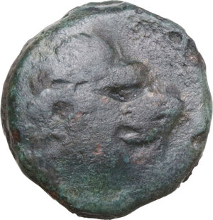 obverse: Northern Lucania, Velia. AE 14 mm, late 5th century