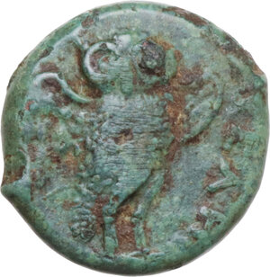 reverse: Northern Lucania, Velia. AE 12 mm, late 4th to 2nd century