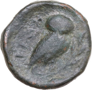 reverse: Northern Lucania, Velia. AE 15 mm, c. 4th-2nd century