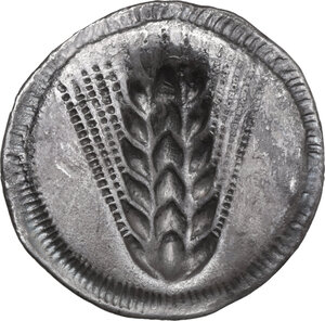 reverse: Southern Lucania, Metapontum. AR Stater, c. 540-510 BC