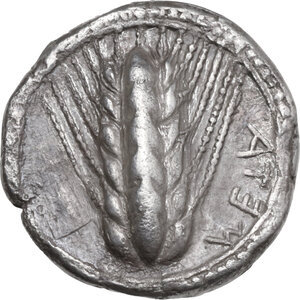 obverse: Southern Lucania, Metapontum. AR Stater, circa 470-440 BC