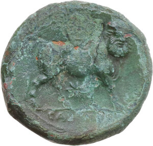 reverse: Samnium, Southern Latium and Northern Campania, Cales. AE 20 mm, c. 265-240 BC