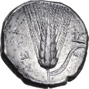 reverse: Southern Lucania, Metapontum. AR Stater, c. 330-290 BC