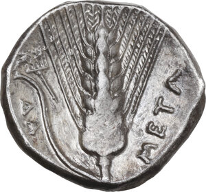 reverse: Southern Lucania, Metapontum. AR Stater, circa 330-290 BC