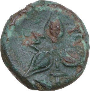 reverse: Southern Lucania, Metapontum. AE 13 mm. Late 3rd century BC