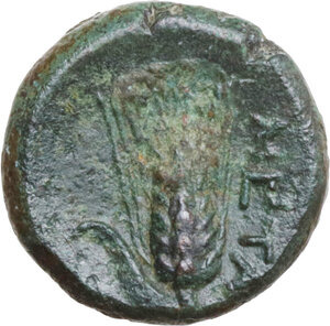 reverse: Southern Lucania, Metapontum. AE 14 mm, 300-250 BC