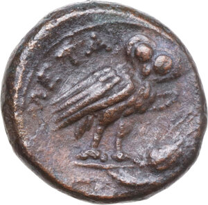 reverse: Southern Lucania, Metapontum. AE 15 mm, 250-207 BC