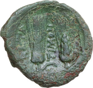 reverse: Southern Lucania, Metapontum. AE 18 mm, late 3rd century