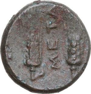 reverse: Southern Lucania, Metapontum. AE 17 mm, 250-207 BC