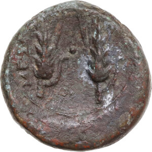 reverse: Southern Lucania, Metapontum. AE 17.5 mm, late 3rd century BC