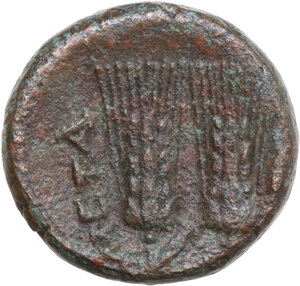 reverse: Southern Lucania, Metapontum. AE 17 mm, late 3rd century BC